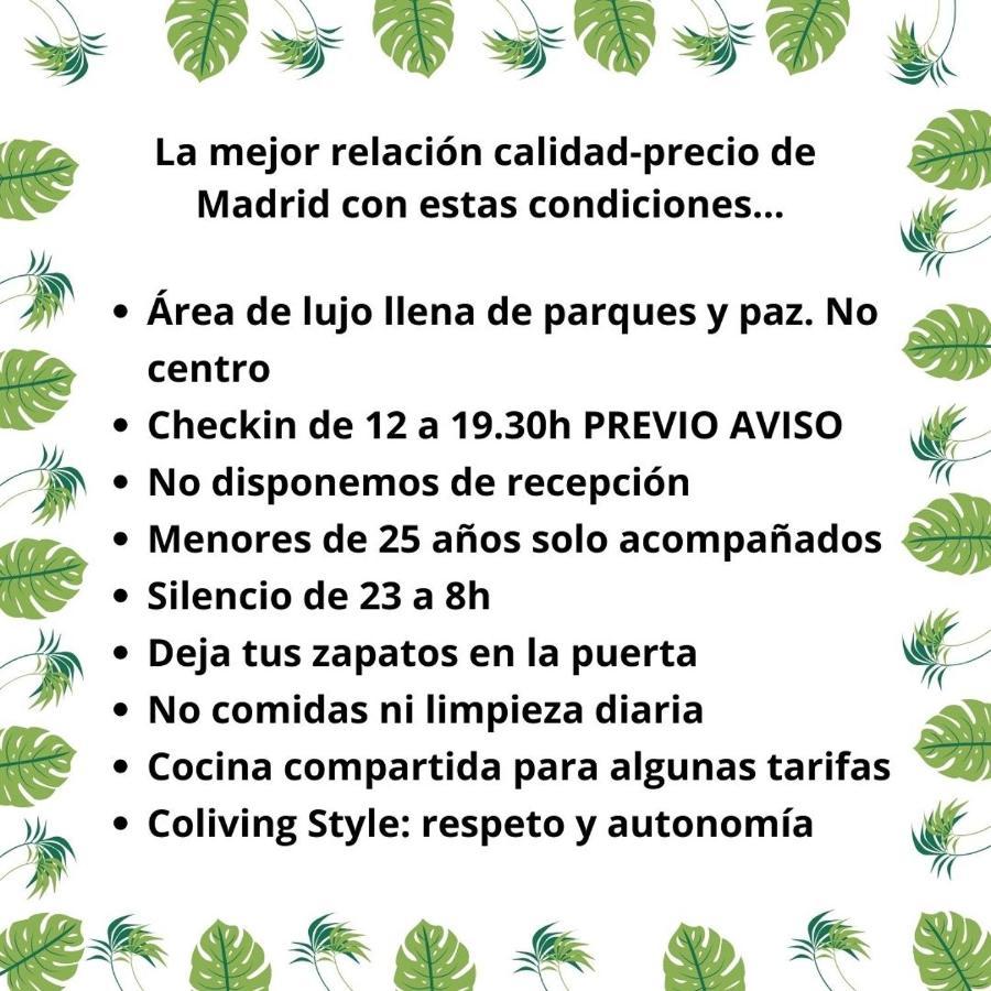 Paraiso Rooms Coliving Madrid Exteriér fotografie